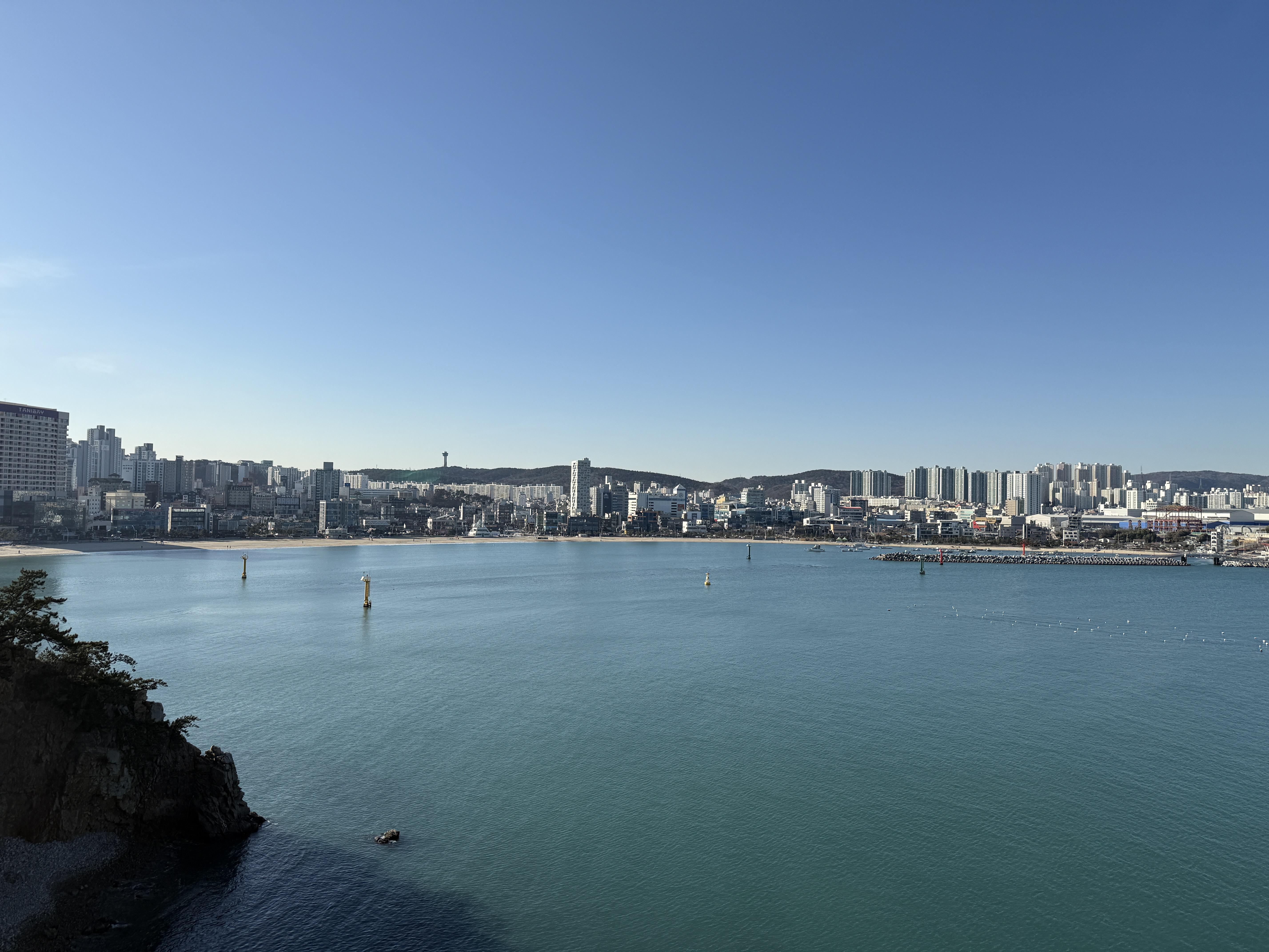 IMG_20260209_154858.JPG
